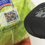 QR codes are efficient at compressing large amounts of data 
