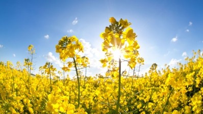 Scientific views on the impact of neonicotinoid pesticides is divided 