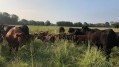 The Wytham-based farm teamed up with Agricarbon to measure the impact of its transition to regenerative farming